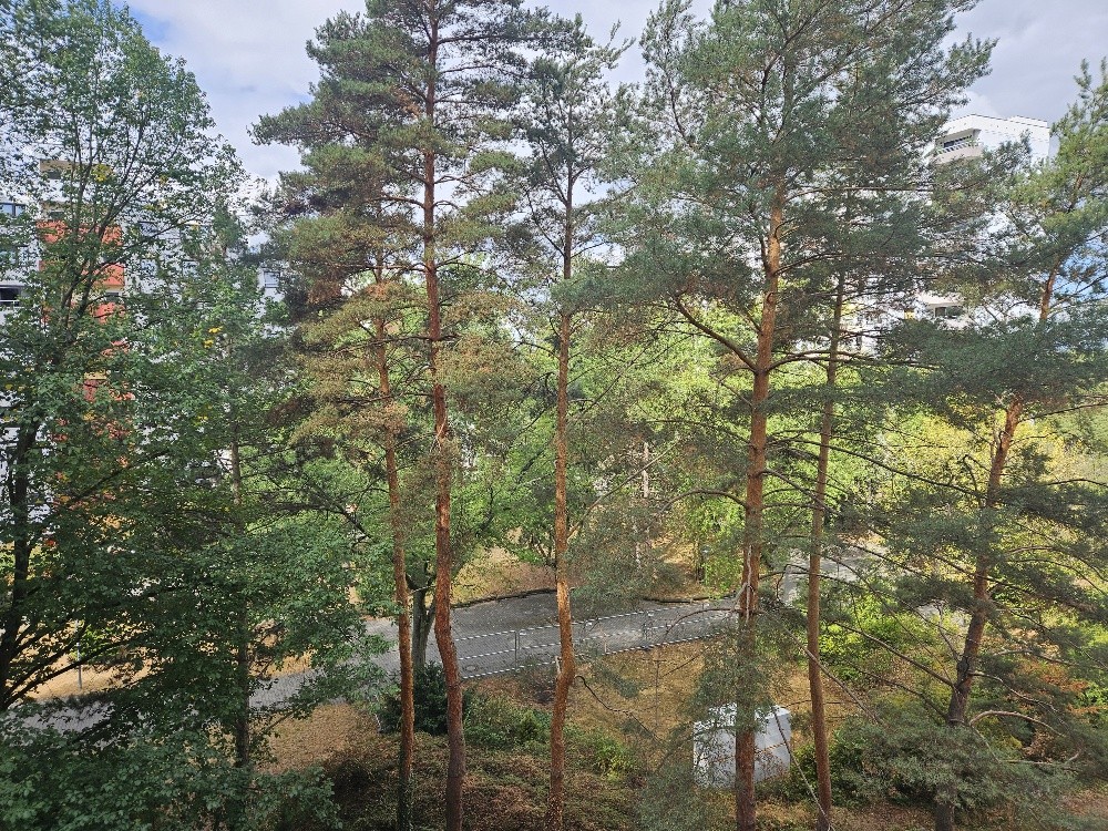 Blick von dem Balkon